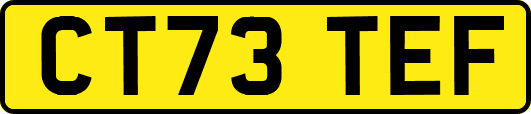 CT73TEF