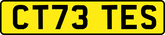 CT73TES