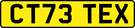 CT73TEX
