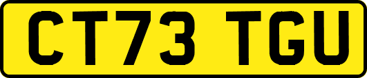 CT73TGU