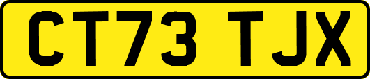 CT73TJX
