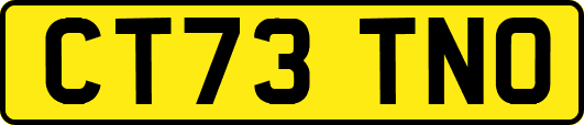 CT73TNO