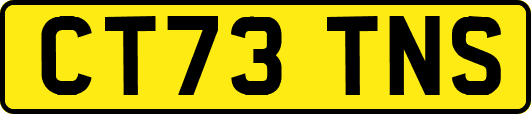 CT73TNS