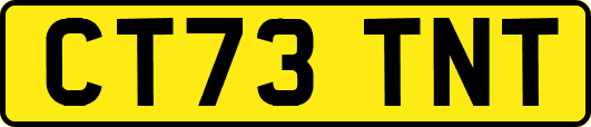 CT73TNT