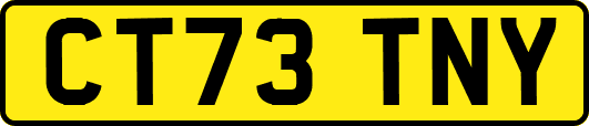 CT73TNY