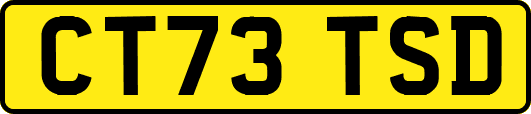 CT73TSD