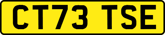 CT73TSE