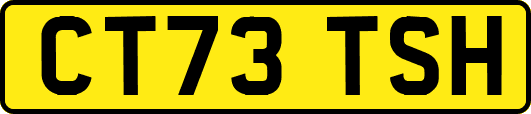 CT73TSH