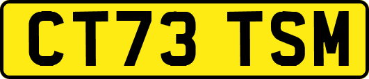 CT73TSM