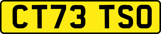 CT73TSO