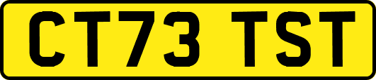 CT73TST