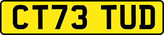 CT73TUD