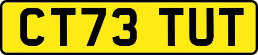 CT73TUT