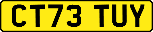CT73TUY
