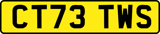 CT73TWS