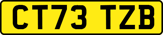 CT73TZB