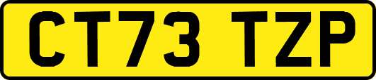CT73TZP
