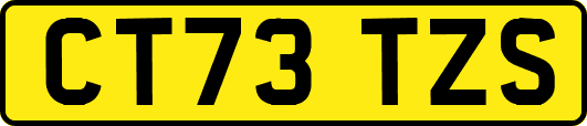 CT73TZS