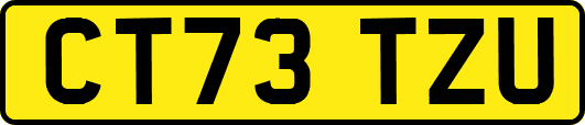 CT73TZU