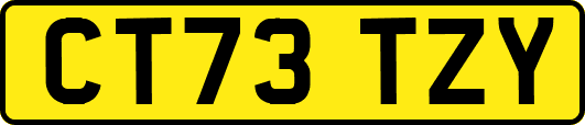 CT73TZY
