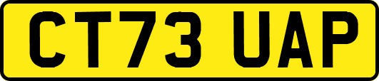CT73UAP