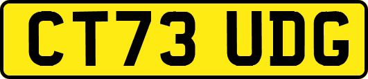 CT73UDG
