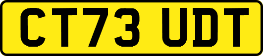CT73UDT