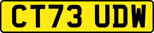 CT73UDW