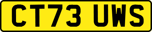 CT73UWS