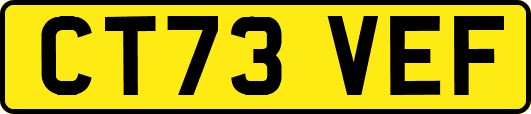 CT73VEF
