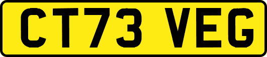 CT73VEG