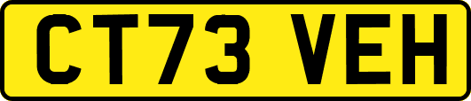 CT73VEH