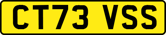 CT73VSS