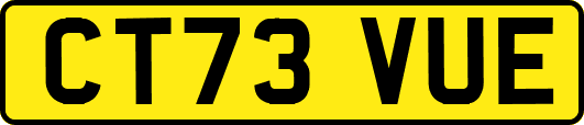CT73VUE
