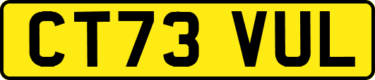 CT73VUL