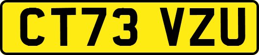 CT73VZU