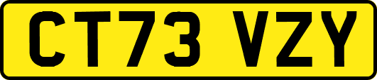 CT73VZY