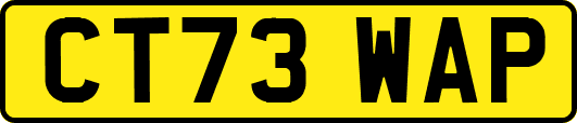 CT73WAP
