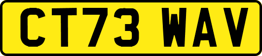 CT73WAV
