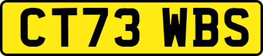 CT73WBS