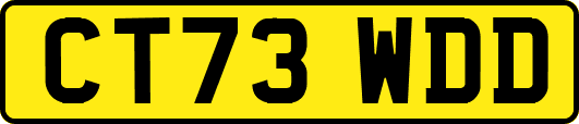 CT73WDD