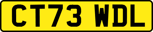CT73WDL