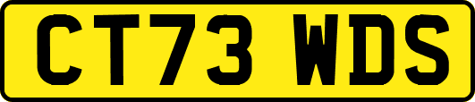 CT73WDS