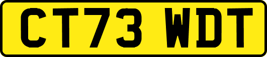 CT73WDT