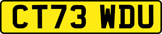 CT73WDU