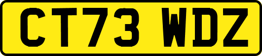 CT73WDZ