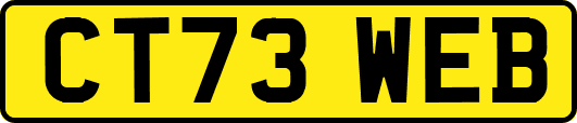 CT73WEB