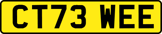 CT73WEE