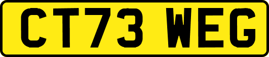 CT73WEG