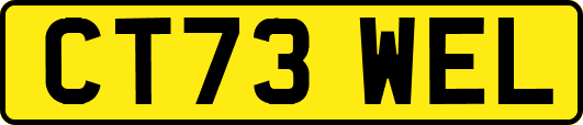 CT73WEL